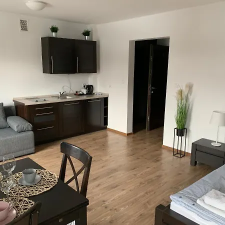 Prywatne Z Widokiem Na Port Lub Zamek Krzyzacki *